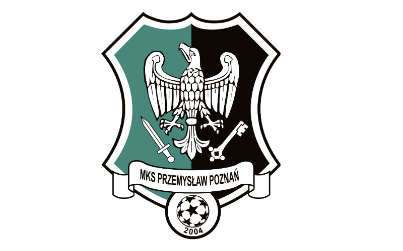 Logo Fundacji im. Róży Luksemburg